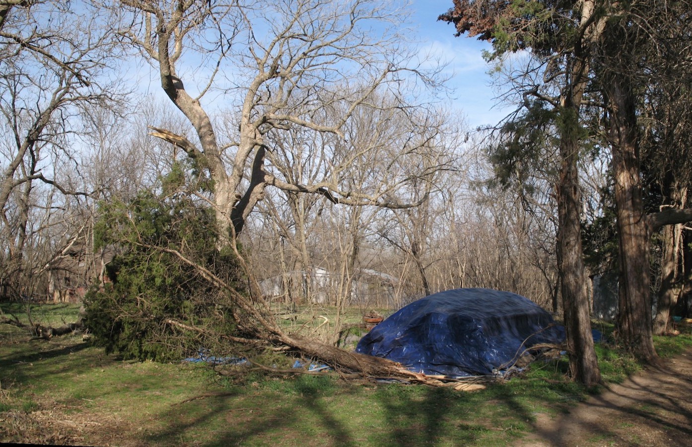 2025
                3-17